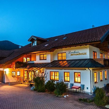 Resort Amadeus-Landhaus Amadeus Grobming Esterno foto